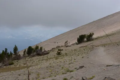 DSC_3068 (Large).JPG